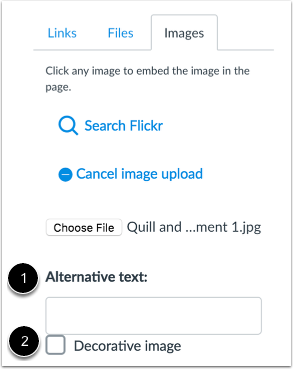 To add alt text to your image, insert text in Alternative text